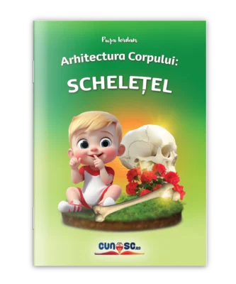 Arhitectura Corpului: Schelețel