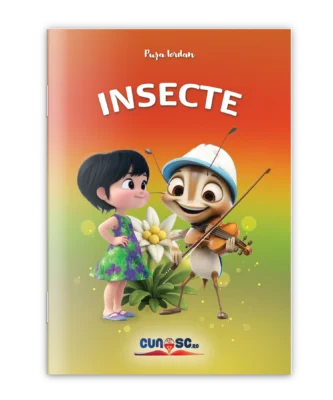 Insecte
