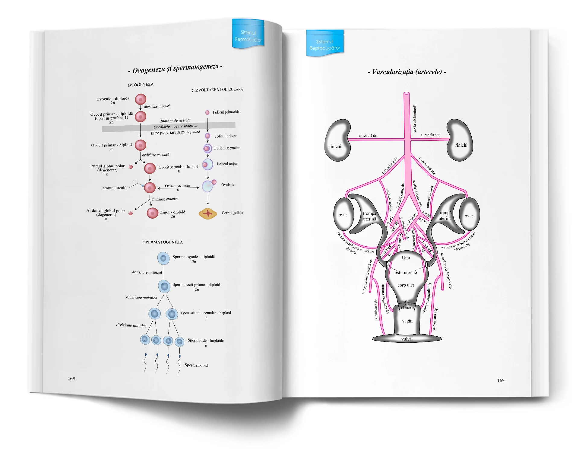 Pagină interioară din Atlas de Biologie pentru Admiterea la Medicină