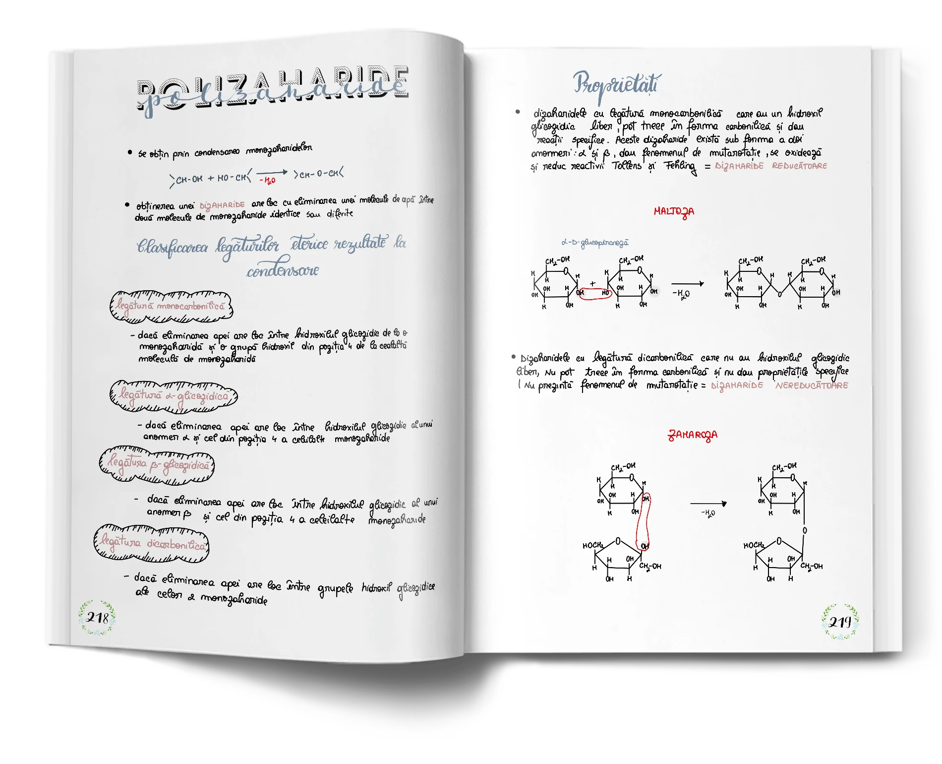Pagină interioară din Setul Teorie de Chimie pentru Admiterea la Medicină