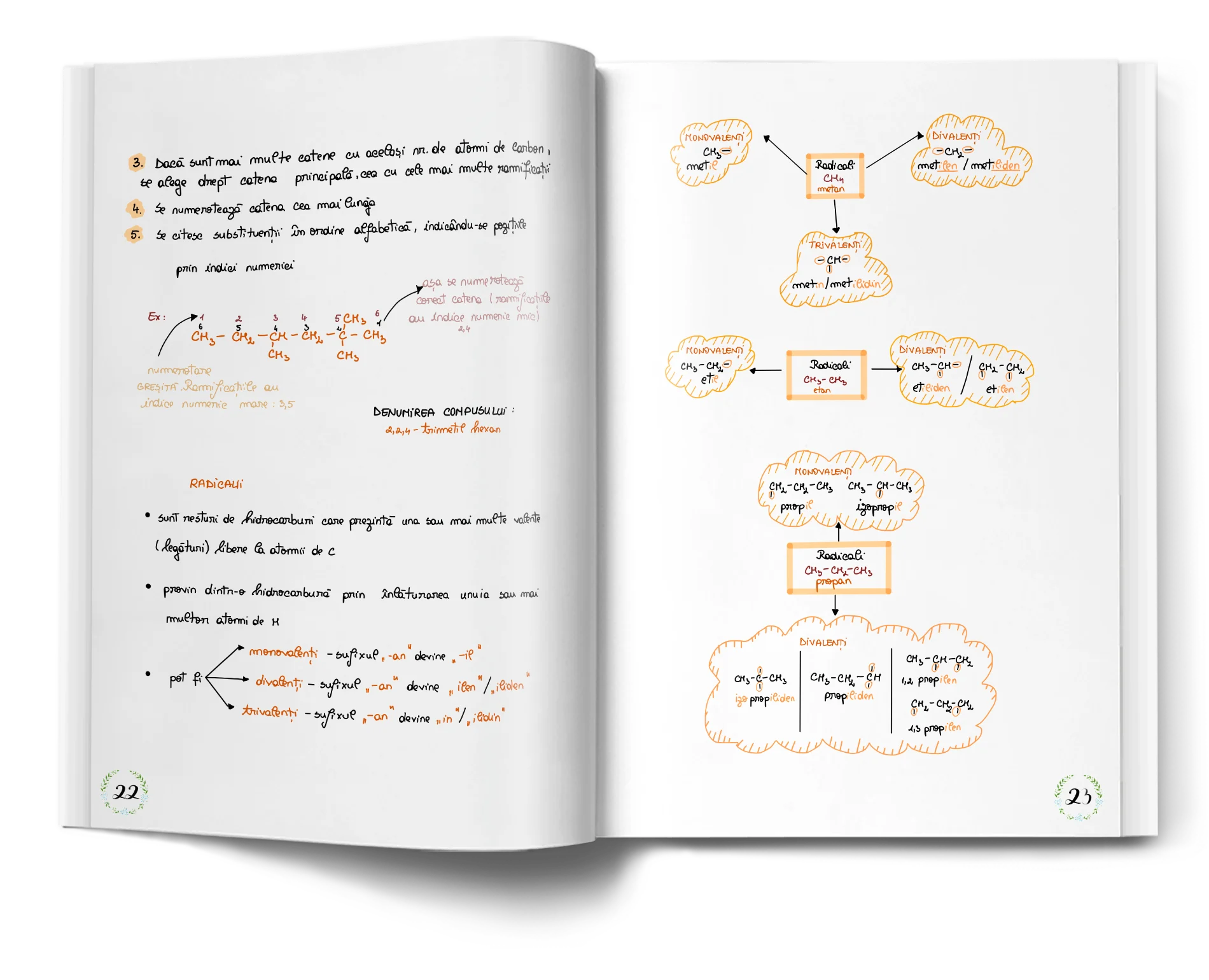 Pagină interioară din Setul Teorie de Chimie pentru Admiterea la Medicină