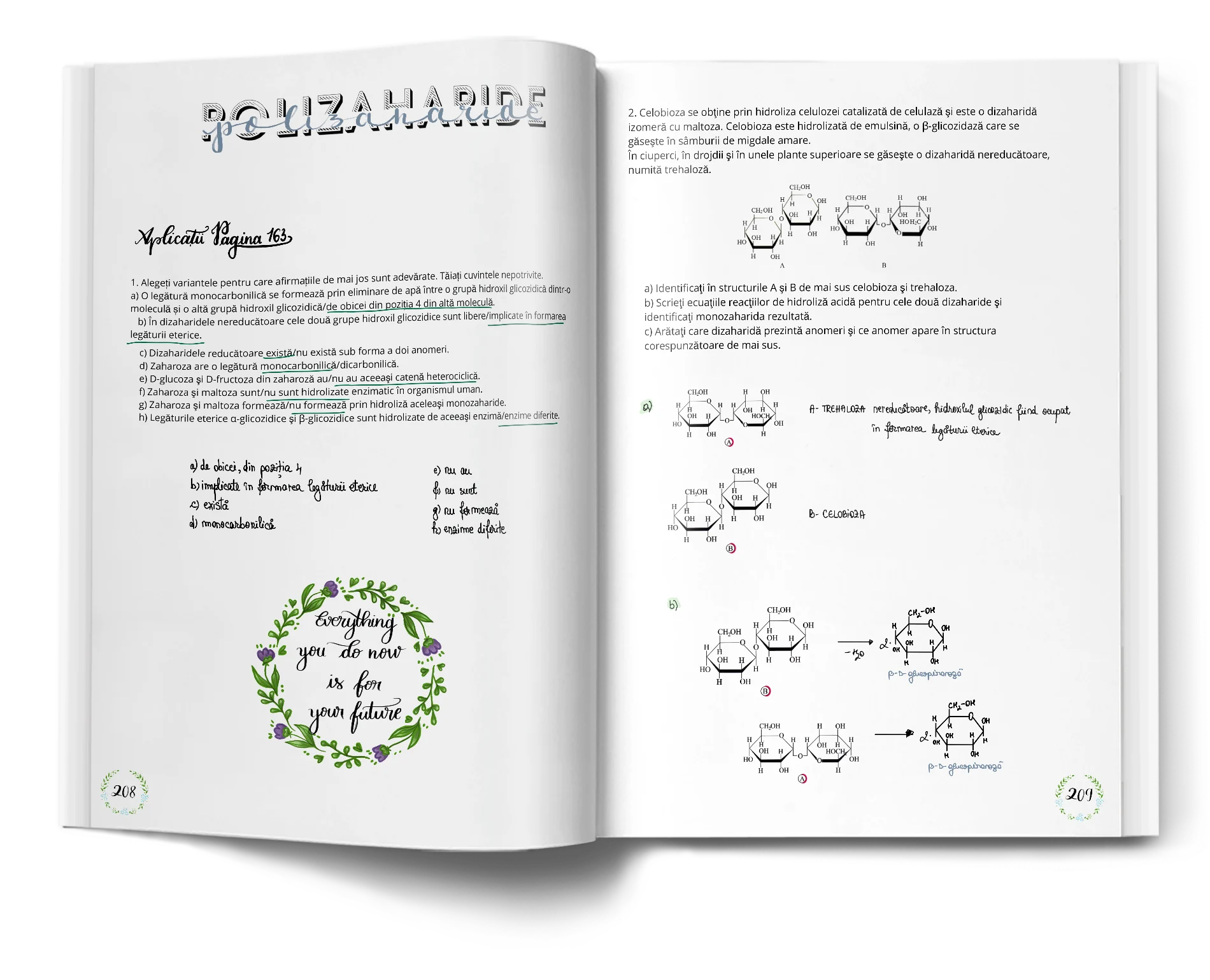 Pagină interioară din Setul Probleme de Chimie pentru Admiterea la Medicină