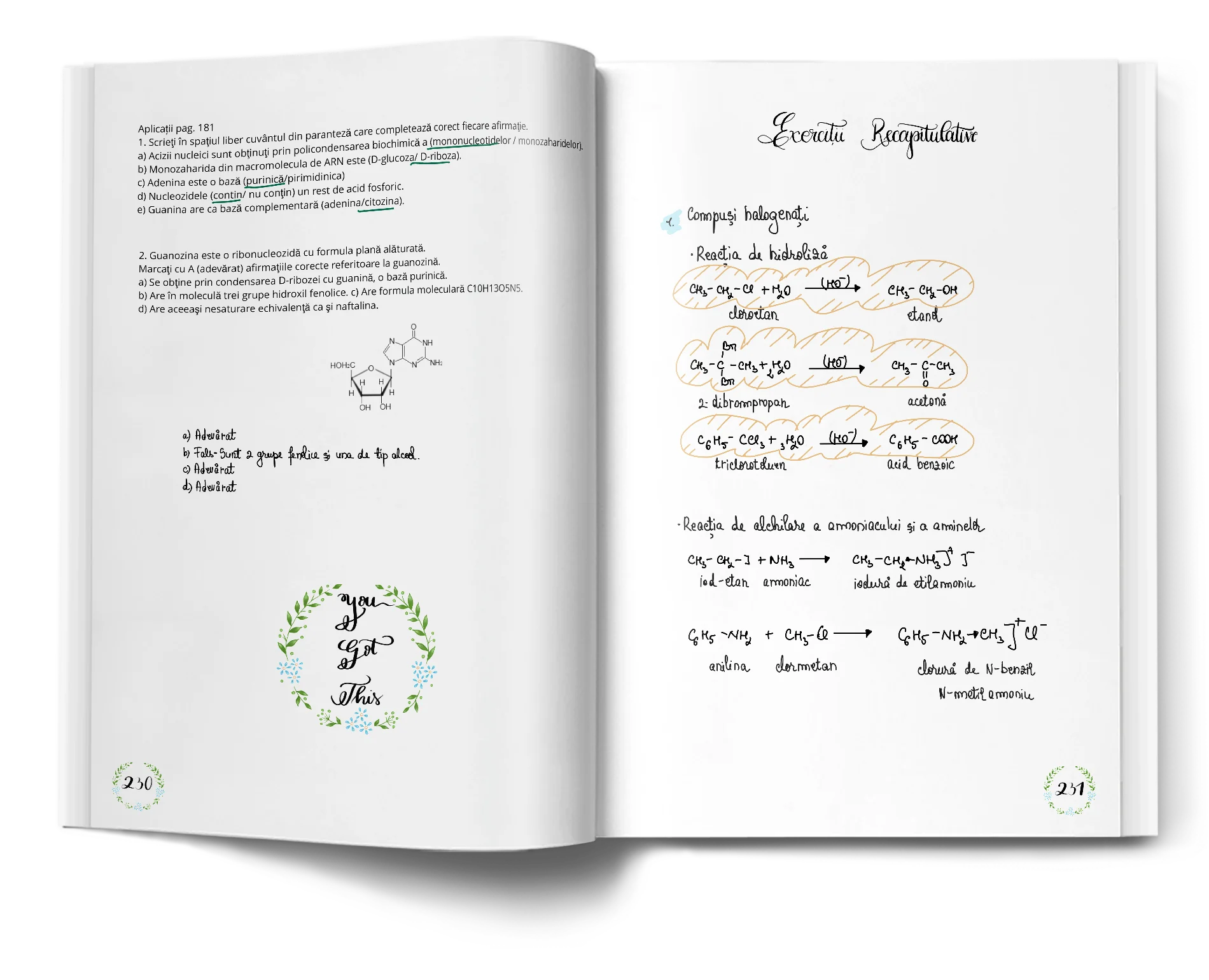 Pagină interioară din Setul Probleme de Chimie pentru Admiterea la Medicină
